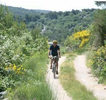 Vami With Sea View Murter