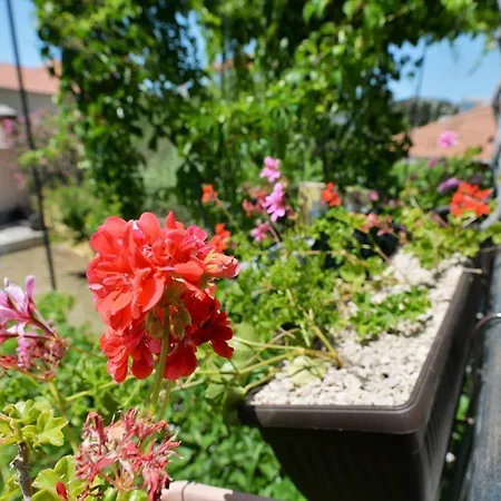 Apartment Vami With Sea View