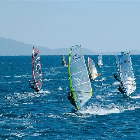 Apartment Vami With Sea View Murter